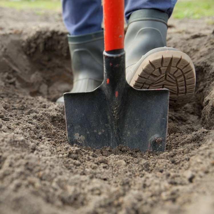 Just another WordPress site